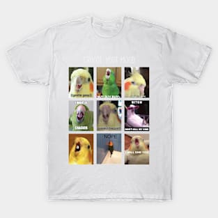 Parrots Meme Mood T-Shirt